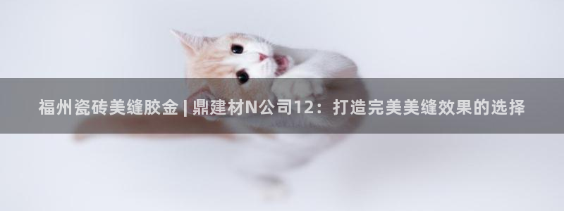 杏鑫娱乐平台测速怎么样