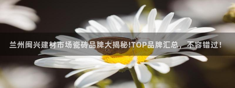 杏鑫平台野马联盟怎么样