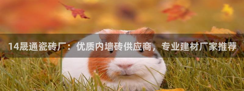 杏鑫平台招商电话号码