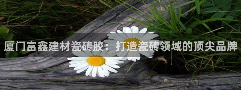 杏鑫招商总代