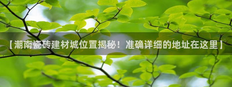 杏鑫有亏损返点吗