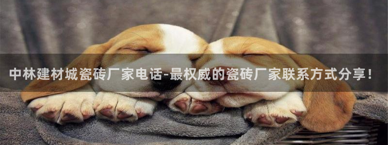 杏鑫平台怎么样黑钱吗是真的吗