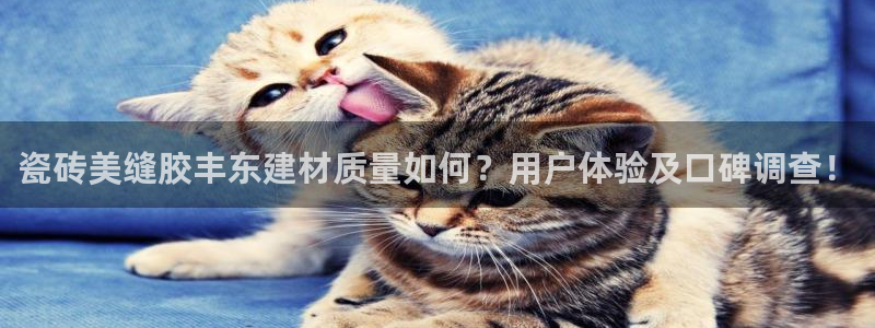 杏鑫平台列7O777