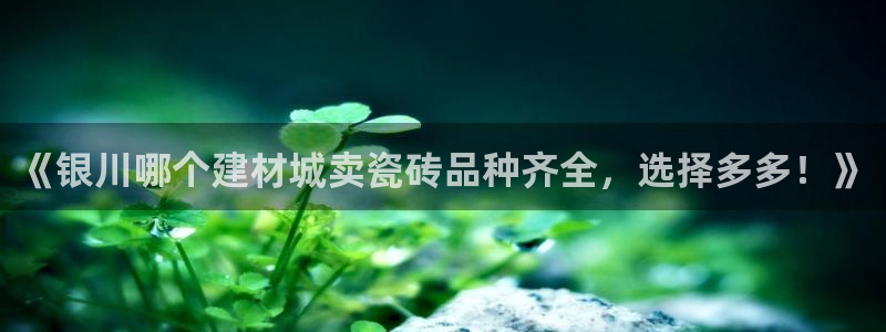 杏鑫官方平台怎么样可靠吗