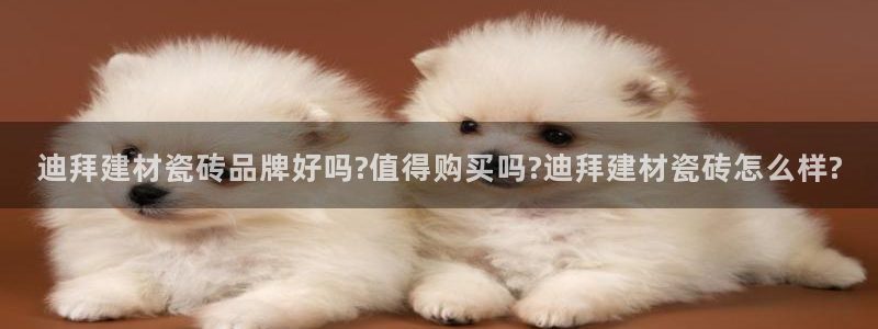 杏鑫娱乐官网首页