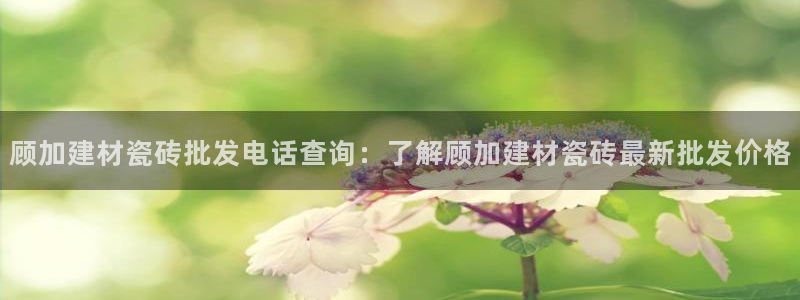 杏鑫娱乐平台
