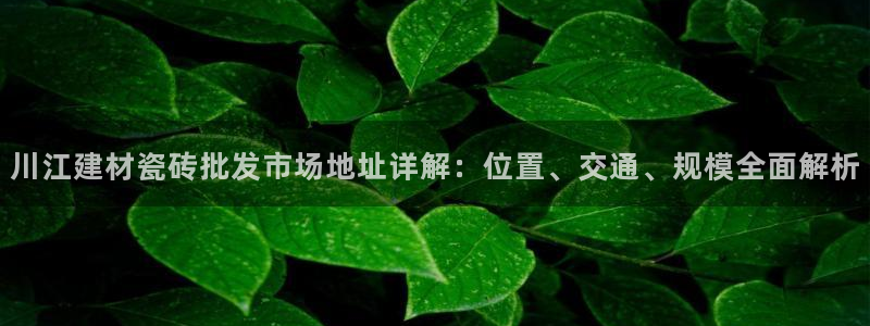 杏鑫平台代理