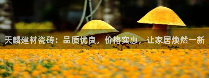 杏鑫平台怎么样黑钱吗是真的吗