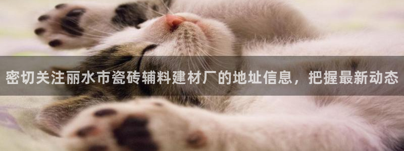 杏鑫登录注册测速