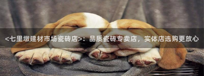 杏鑫平台代理注册流程及费用
