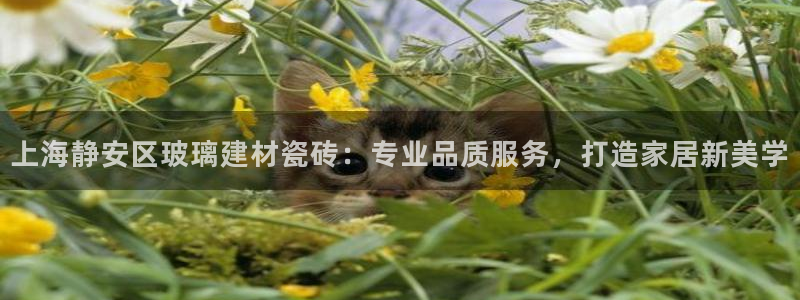 杏鑫平台招商电话号码