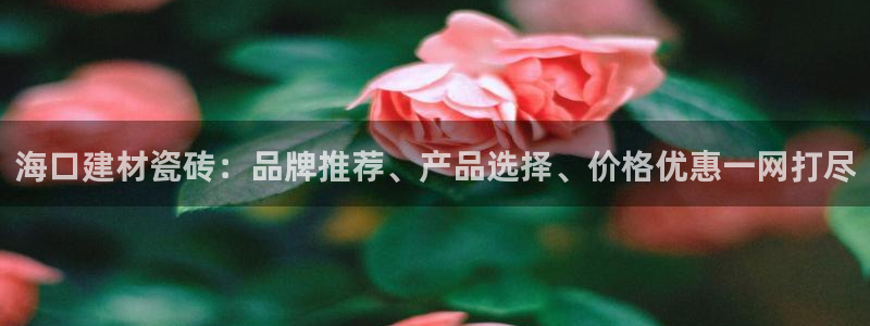 杏鑫平台代理