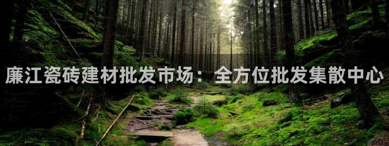 杏鑫平台代理注册
