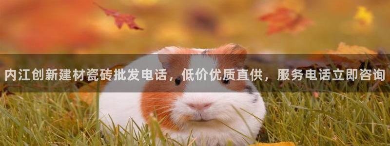 杏鑫平台怎么样知乎