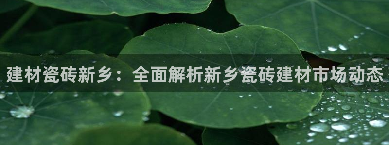 杏鑫注册