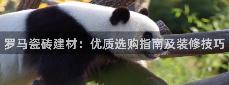 杏鑫平台正规吗是真的吗