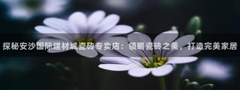 杏鑫注册平台官方网站是什么