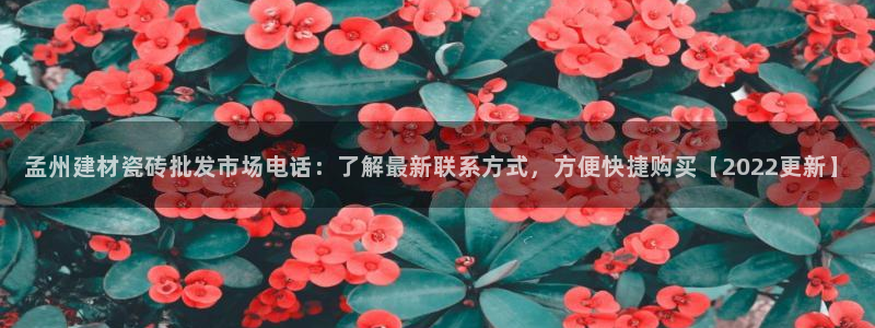 杏鑫平台注册网址