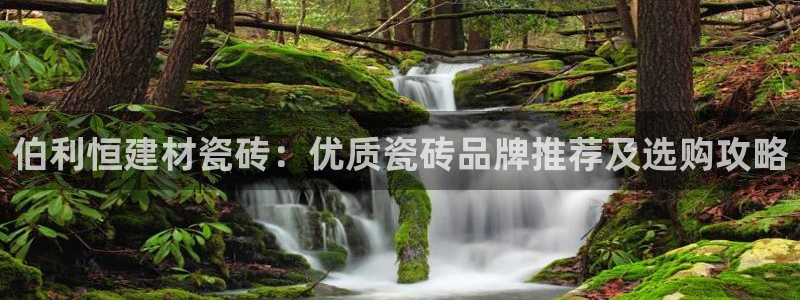 杏鑫注册登录平台是什么