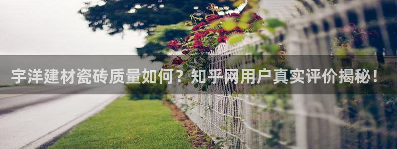 杏鑫平台登录地址在哪