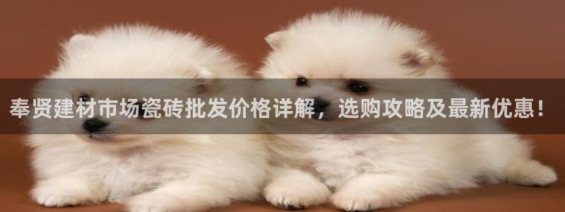 杏鑫平台登陆