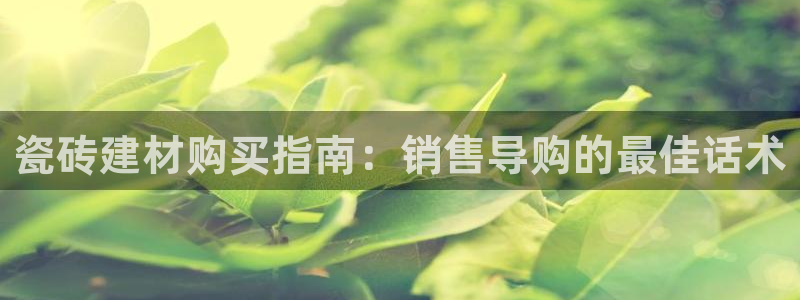 杏鑫平台代理怎么样