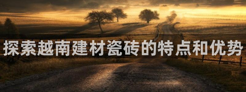 杏鑫手机客户端怎么下载