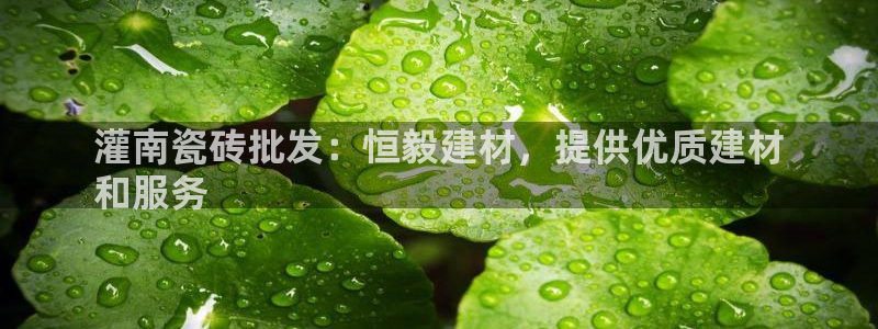 杏鑫平台待遇