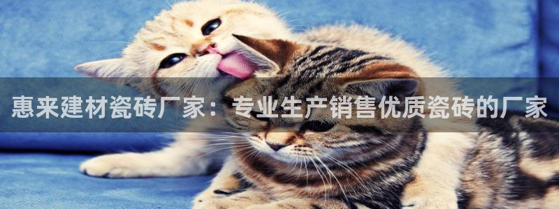 杏鑫平台代理注册