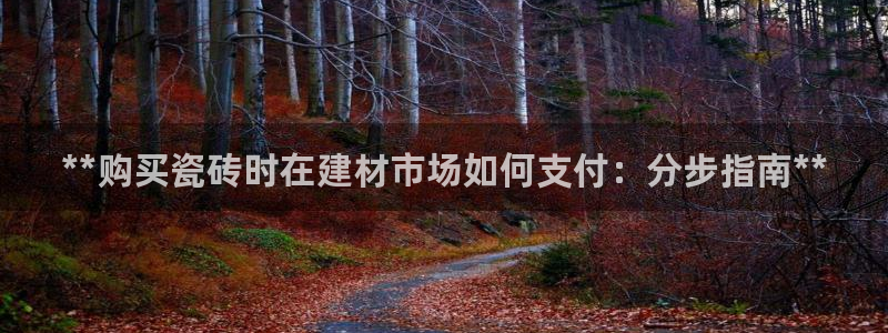 杏鑫代理注册