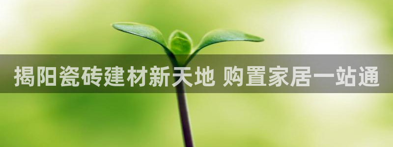 杏鑫官网注册账号