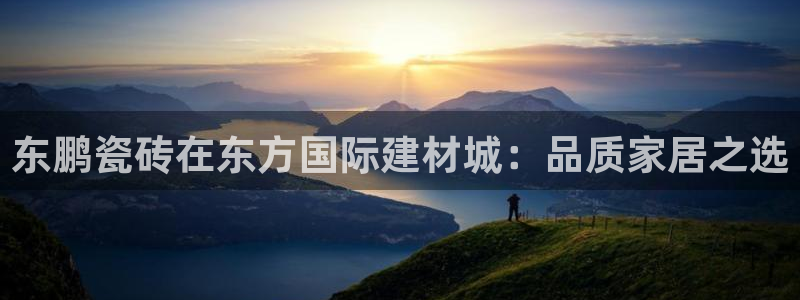 杏鑫平台代理注册流程