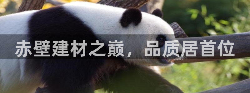 杏鑫注册登陆