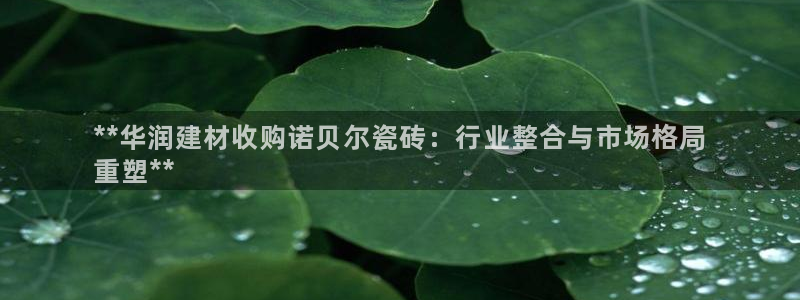 杏鑫主管
