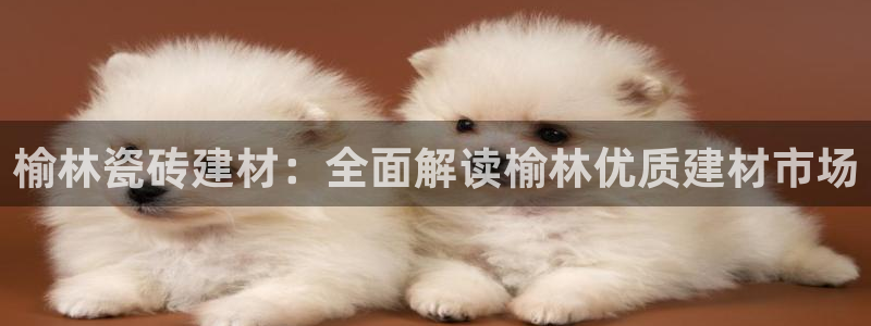杏鑫招商总代
