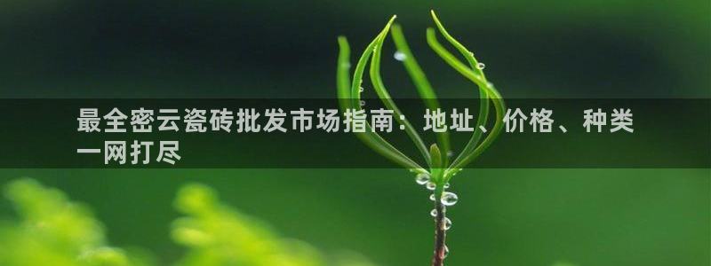 杏鑫平台正规吗
