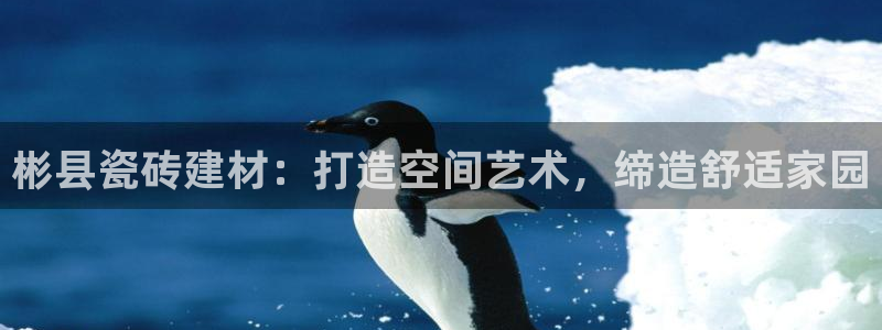 杏鑫注册地址