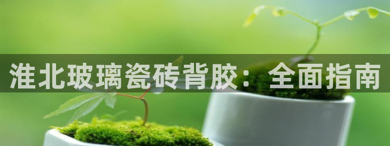 杏鑫平台代理注册