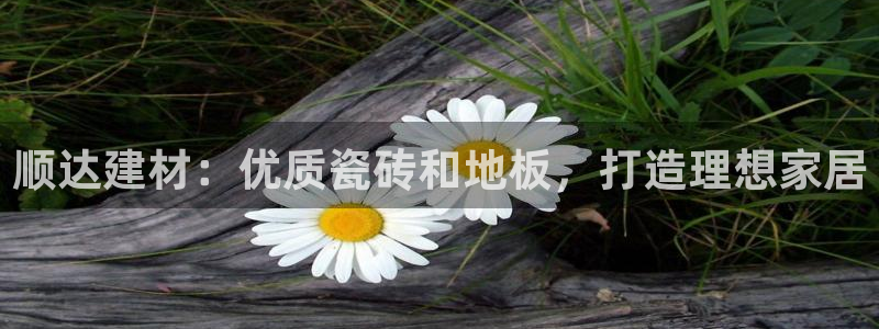 杏鑫平台平台