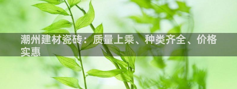 杏鑫主管