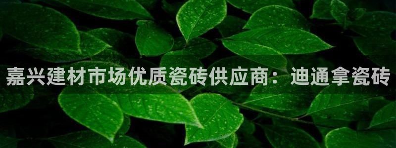 杏鑫平台广7O777