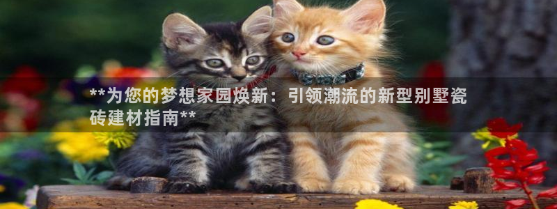 杏鑫有亏损返点吗
