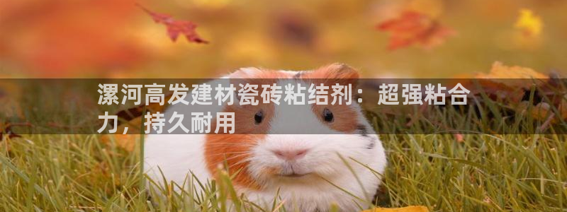 杏鑫娱乐是合法的吗是真的吗