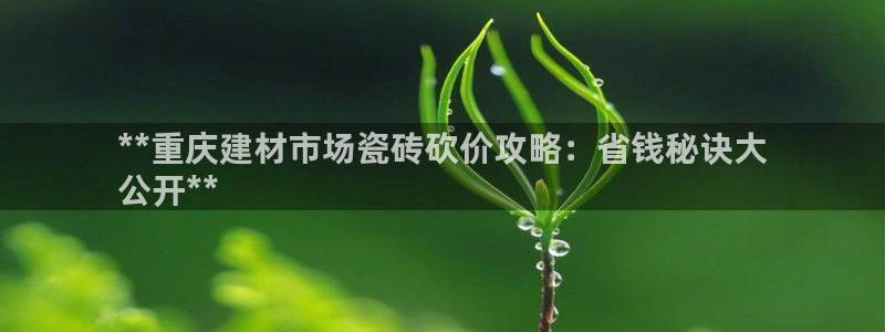 杏鑫娱乐怎么下