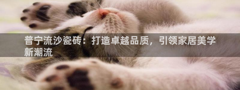 杏鑫平台野马联盟