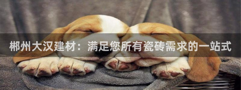 杏鑫3主管