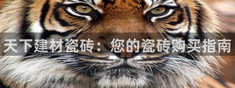 杏鑫平台野马联盟