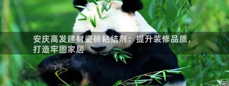 杏鑫娱乐平台