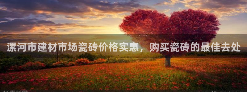 杏鑫招商总代