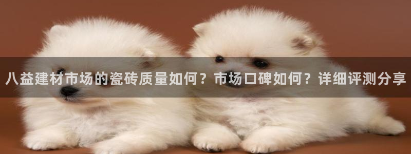 杏鑫平台官方网站